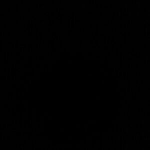 Unlisted Item - Not for Sale